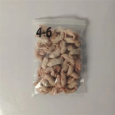 Frozen Rats for Reptiles