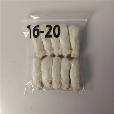 Frozen Rats for Snake
