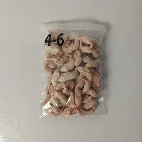 Little White Rat