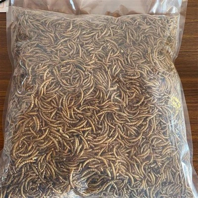 Organic Dried Mealworms